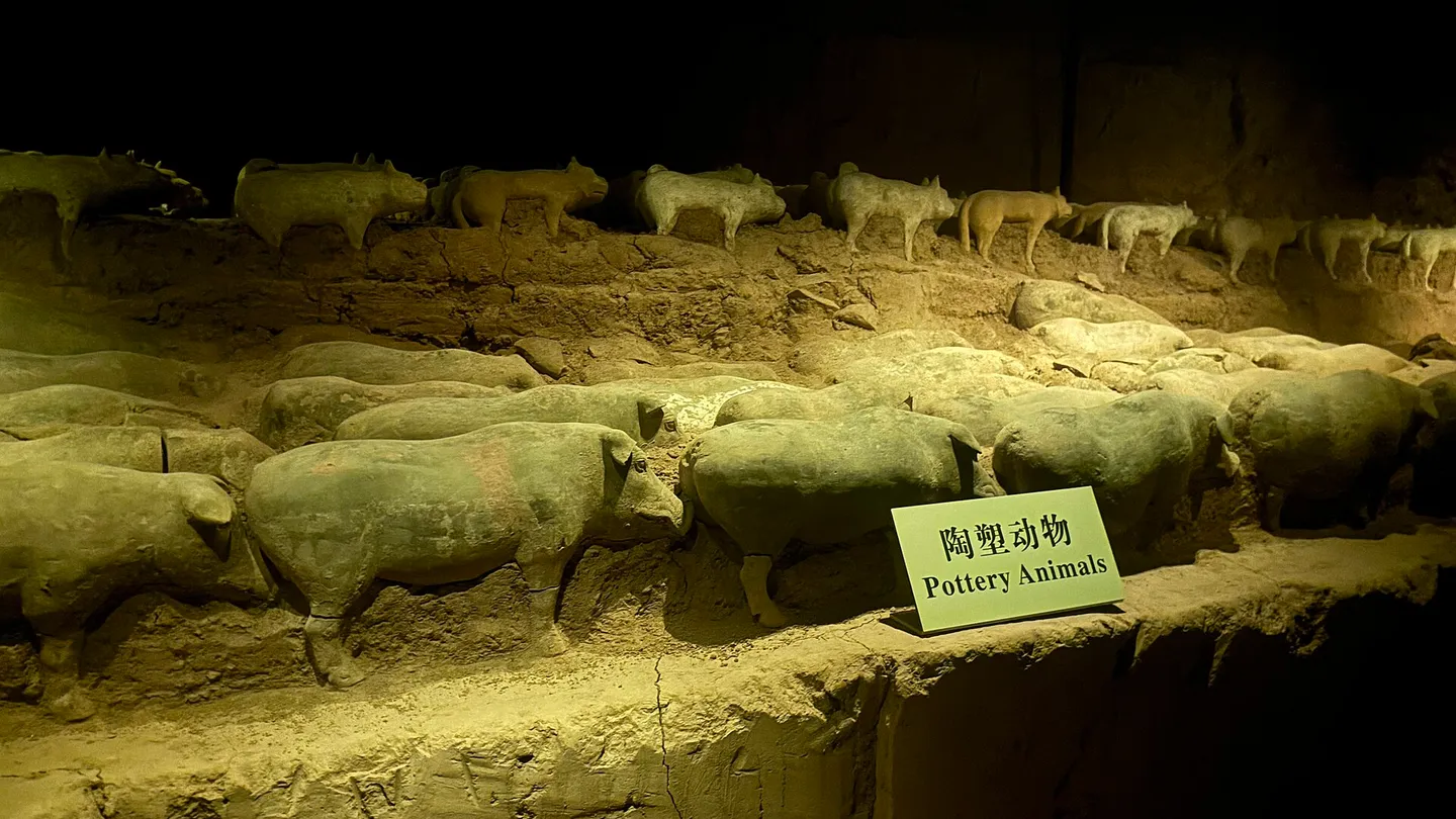 Excavated soldiers and pottery at the Han Yangling Mausoleum